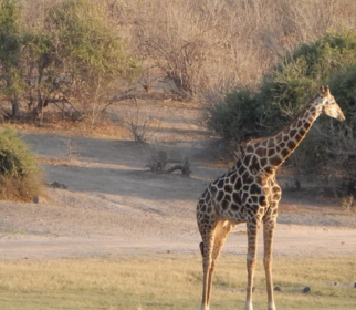 Aventura Namibia