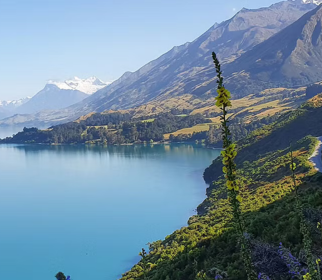 Gira por Nueva Zelanda